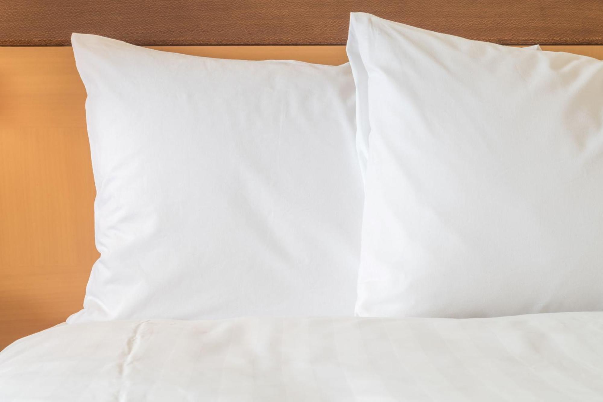 Holiday Inn Express Hotel & Suites Tampa-Usf-Busch Gardens By Ihg Esterno foto