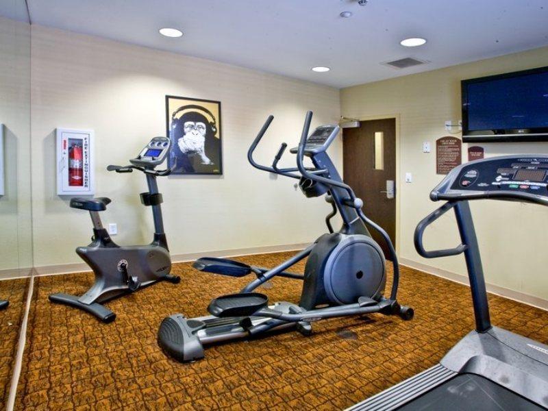 Holiday Inn Express Hotel & Suites Tampa-Usf-Busch Gardens By Ihg Esterno foto