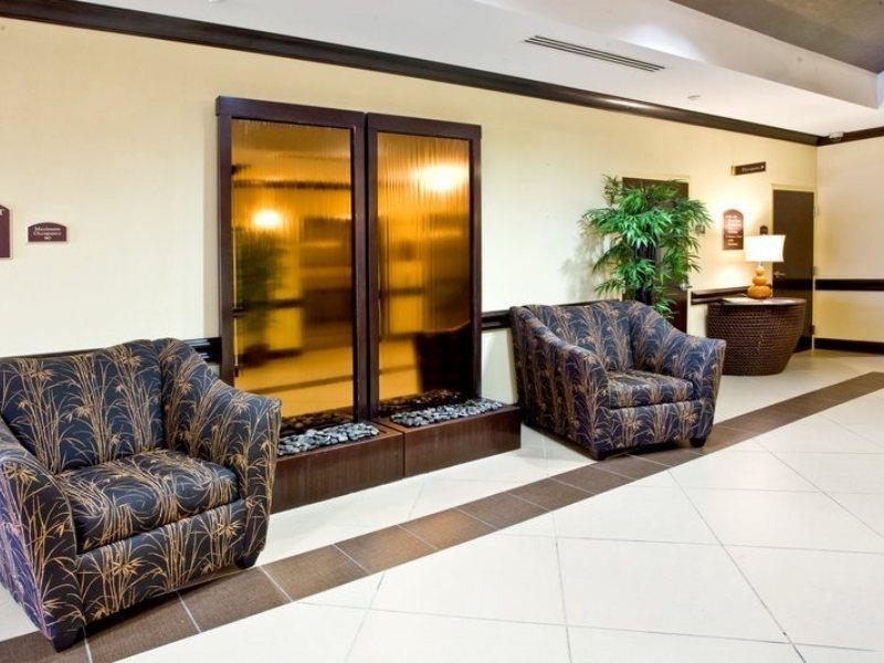 Holiday Inn Express Hotel & Suites Tampa-Usf-Busch Gardens By Ihg Esterno foto