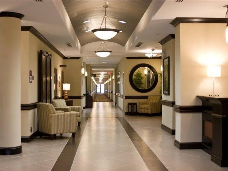 Holiday Inn Express Hotel & Suites Tampa-Usf-Busch Gardens By Ihg Esterno foto