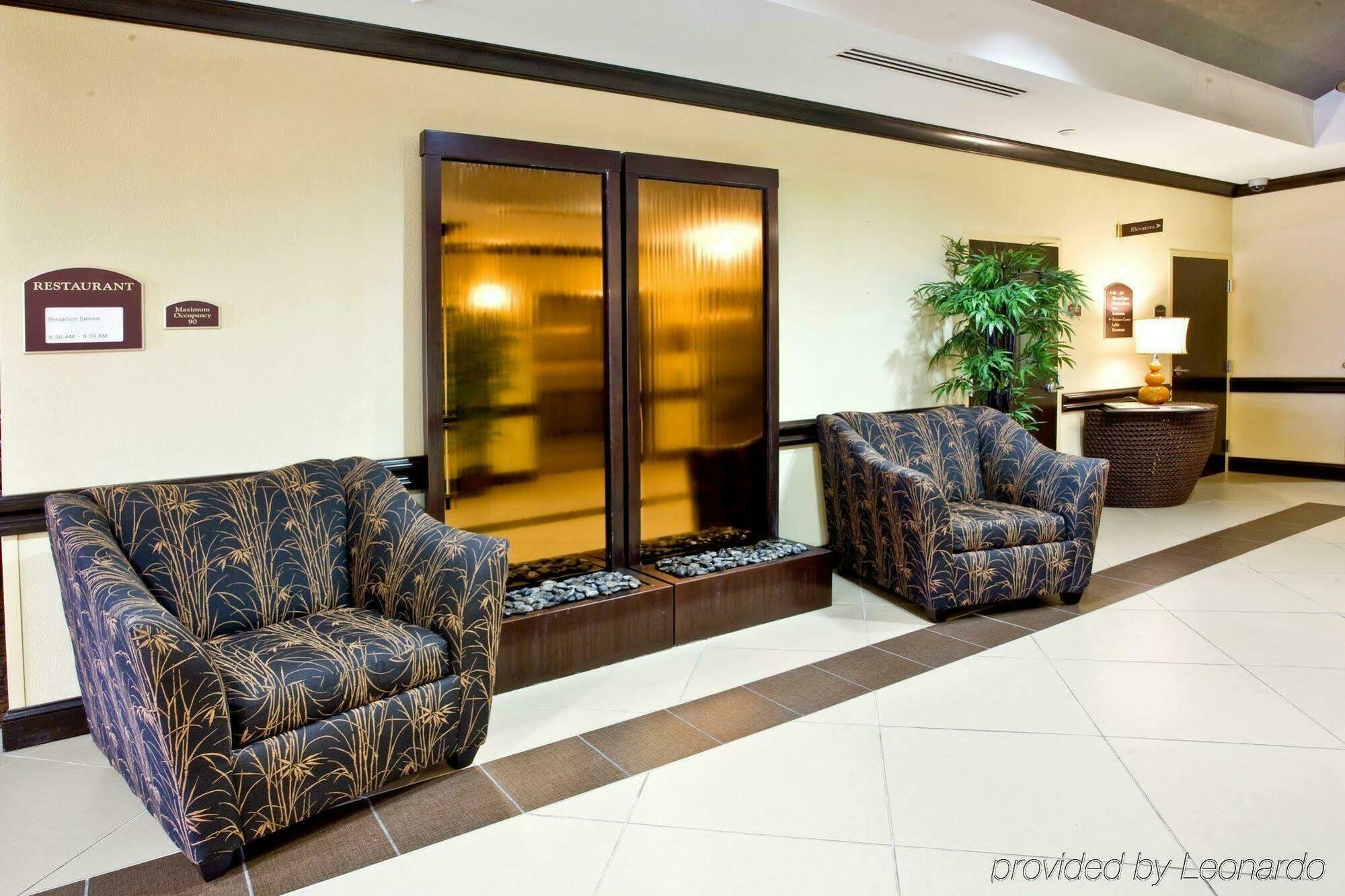 Holiday Inn Express Hotel & Suites Tampa-Usf-Busch Gardens By Ihg Esterno foto