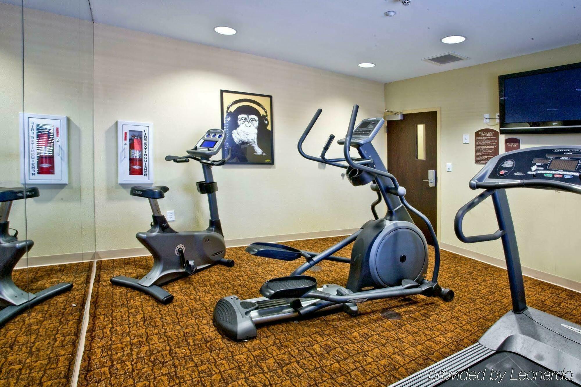 Holiday Inn Express Hotel & Suites Tampa-Usf-Busch Gardens By Ihg Esterno foto